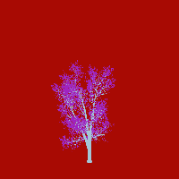greenshift tree