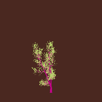 greenshift tree