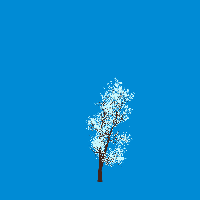greenshift tree
