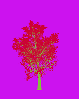 greenshift tree