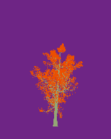greenshift tree