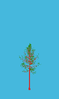 greenshift tree