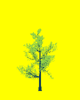 greenshift tree