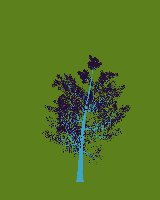greenshift tree