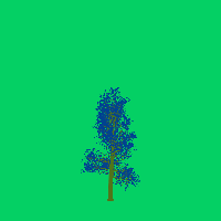 greenshift tree