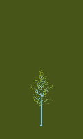 greenshift tree