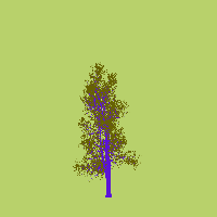 greenshift tree