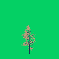 greenshift tree