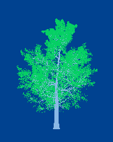 greenshift tree