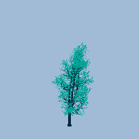 greenshift tree
