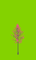 greenshift tree