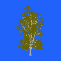 greenshift tree