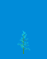 greenshift tree
