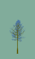 greenshift tree