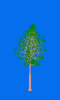 greenshift tree