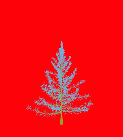 greenshift tree