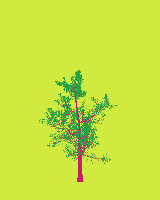 greenshift tree