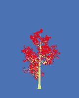 greenshift tree