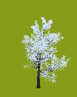 greenshift tree