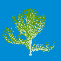 greenshift tree