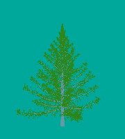 greenshift tree