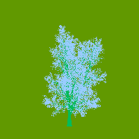 greenshift tree