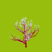 greenshift tree