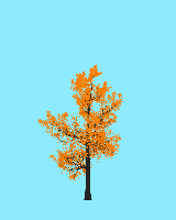 greenshift tree
