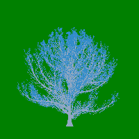 greenshift tree