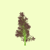 greenshift tree
