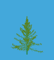 greenshift tree