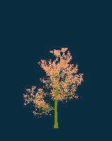 greenshift tree