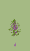 greenshift tree