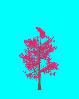 greenshift tree