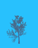 greenshift tree