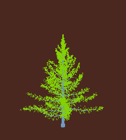greenshift tree
