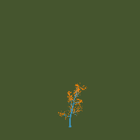 greenshift tree