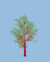 greenshift tree