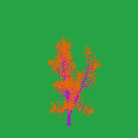 greenshift tree