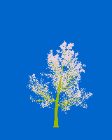 greenshift tree