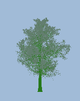 greenshift tree
