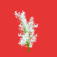 greenshift tree
