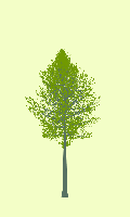 greenshift tree
