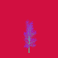greenshift tree