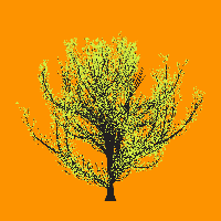 greenshift tree