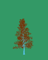 greenshift tree