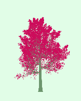 greenshift tree