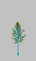 greenshift tree