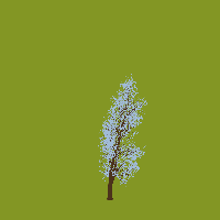 greenshift tree