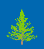 greenshift tree